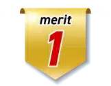 merit1